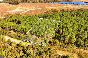 Lot 2 Middle Ground Church Rd, Chester, GA 31012 - Photo 19