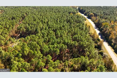 Lot 2 Middle Ground Church Road, Chester, GA 31012 - Photo 9