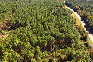 Lot 2 Middle Ground Church Rd, Chester, GA 31012 - Photo 9