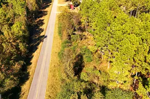 Lot 2 Middle Ground Church Rd, Chester, GA 31012 - Photo 11