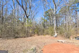 5960 Old Zebulon Rd, Concord, GA 30206 - Photo 39