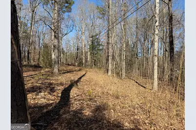 5960 Old Zebulon Road, Concord, GA 30206 - Photo 47