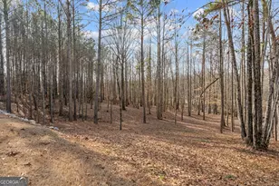 2120 Morgan Ln, Covington, GA 30014 - Photo 51