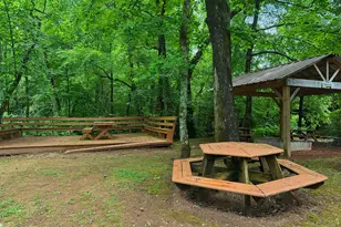60 Park Vista Dr, Cleveland, GA 30528 - Photo 23