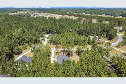 149 Windmill Plantation Drive, Statesboro, GA 30461 - Photo 57