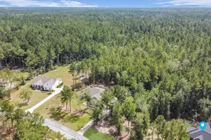 149 Windmill Plantation Dr, Statesboro, GA 30461 - Photo 55