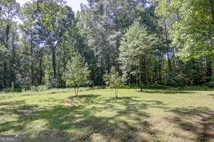 127 Wilkins Rd, Fayetteville, GA 30214 - Photo 53