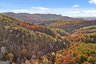 180 Cohutta Frst Rd, Ellijay, GA 30540 - Photo 45