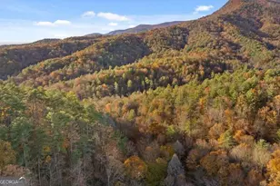 180 Cohutta Frst Rd, Ellijay, GA 30540 - Photo 47