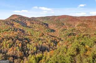 180 Cohutta Frst Rd, Ellijay, GA 30540 - Photo 41