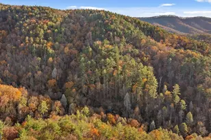 180 Cohutta Frst Rd, Ellijay, GA 30540 - Photo 43