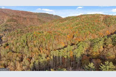 180 Cohutta Forest Road, Ellijay, GA 30540 - Photo 49