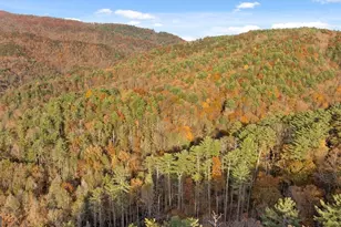 180 Cohutta Frst Rd, Ellijay, GA 30540 - Photo 49