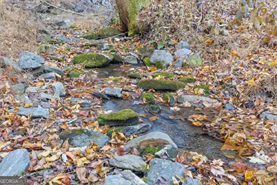 180 Cohutta Forest Road, Ellijay, GA 30540 - Photo 3