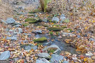 180 Cohutta Frst Rd, Ellijay, GA 30540 - Photo 3