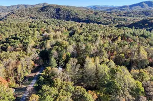 110 Johnson Rd, Hayesville, NC 28904 - Photo 35