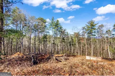 3.12 Acr Eric Lane, Ellijay, GA 30540 - Photo 9