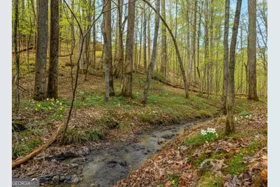 3.12 Acr Eric Lane, Ellijay, GA 30540 - Photo 21