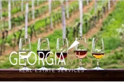 0 Forest Canopy Way LOT #2, Clayton, GA 30525 - Photo 11