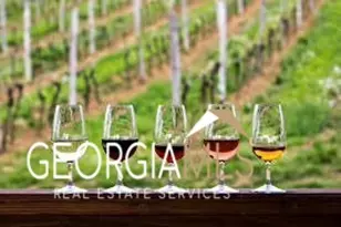 0 Forest Canopy Wy, Clayton, GA 30525 - Photo 11