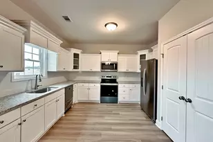 263 Lanier Rd, Ludowici, GA 31316 - Photo 13