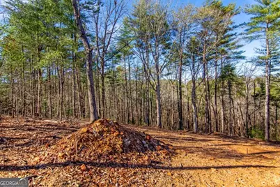 Lt 10R Whispering Oaks Drive #10R, Ellijay, GA 30540 - Photo 5