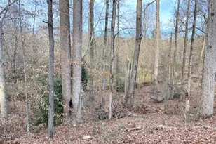 235 Riverbend Dr, Covington, GA 30014 - Photo 17