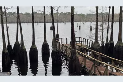 3417 Horizons Bend, Portal, GA 30450 - Photo 9