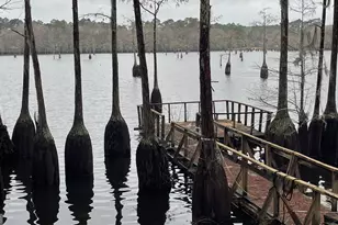 3417 Horizons Bend, Portal, GA 30450 - Photo 9