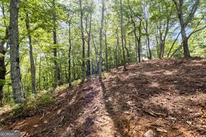 347 Highlands Drive, Clarkesville, GA 30523 - Photo 3