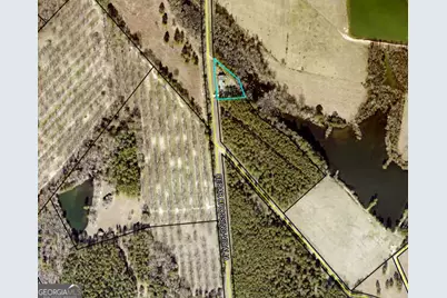 977 Cedar Crossing Vidalia Road, Vidalia, GA 30474 - Photo 27