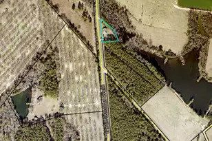 977 Cedar Crossing Vidalia Rd, Vidalia, GA 30474 - Photo 27