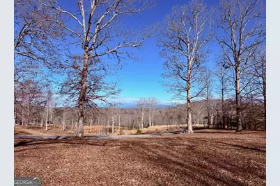 C4 Briar Woods Lane, Blue Ridge, GA 30513 - Photo 1