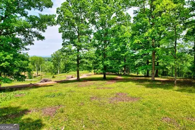 C4 Briar Woods Lane, Blue Ridge, GA 30513 - Photo 3