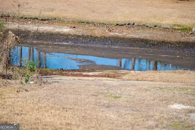 765 Max Deen Drive, Baxley, GA 31513 - Photo 43