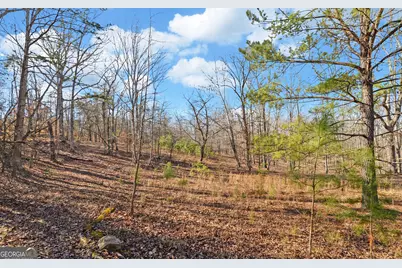 4431 Jim Hood Road, Gainesville, GA 30506 - Photo 27