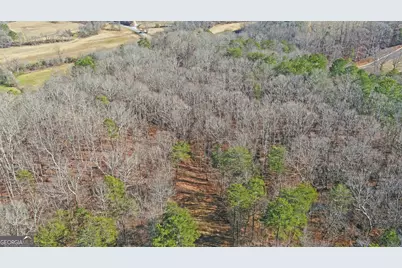 4431 Jim Hood Road, Gainesville, GA 30506 - Photo 13