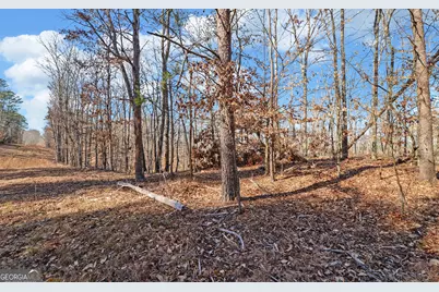 4431 Jim Hood Road, Gainesville, GA 30506 - Photo 19