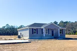 4390 Deloach Church Rd, Claxton, GA 30417 - Photo 3