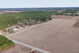 2051 Oliver Hwy, Newington, GA 30446 - Photo 25