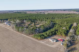 2051 Oliver Hwy, Newington, GA 30446 - Photo 25