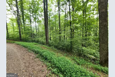 Tract 2A Poplar Cove Trail, Suches, GA 30572 - Photo 9