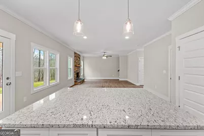 79 Lamb Road, Moreland, GA 30259 - Photo 27