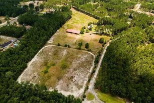 254 Coffee County Club Rd, Hortense, GA 31543 - Photo 5