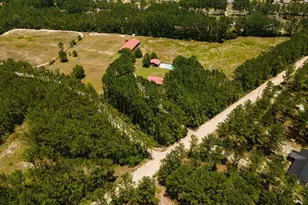 254 Coffee County Club Rd, Hortense, GA 31543 - Photo 13