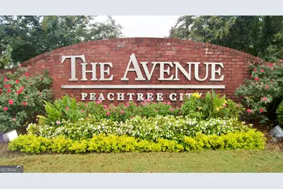 22 Star Spangled Lane, Peachtree City, GA 30269 - Photo 69