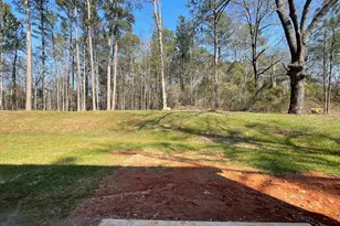 407 Barnetts Bridge Rd, Jackson, GA 30233 - Photo 11