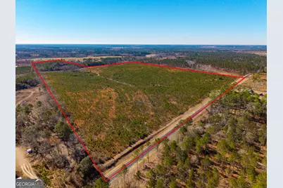 1 Henry Moxley Road, Cobbtown, GA 30420 - Photo 1