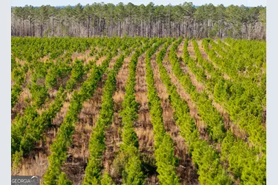 1 Henry Moxley Road, Cobbtown, GA 30420 - Photo 3