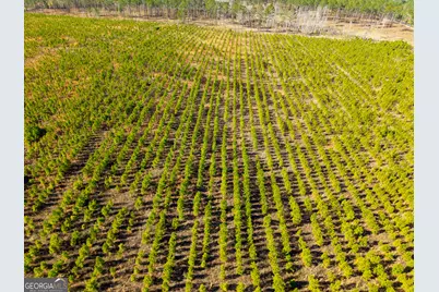 1 Henry Moxley Road, Cobbtown, GA 30420 - Photo 9